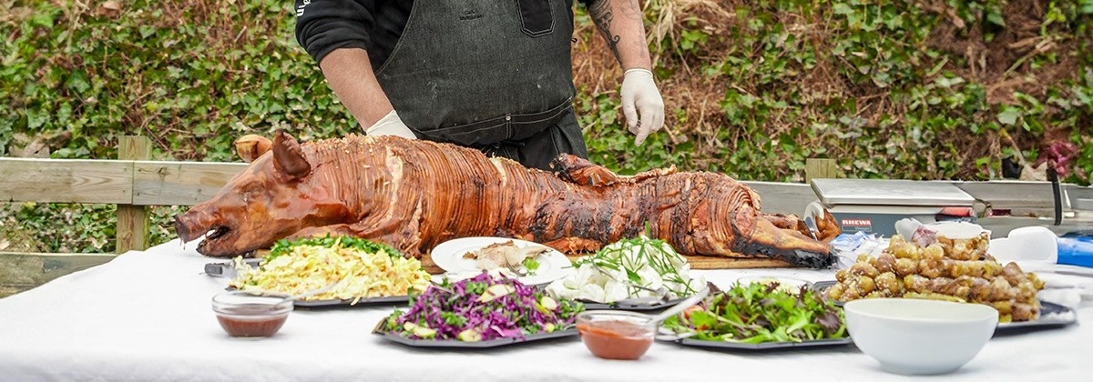 Helstegt pattegris på Sjælland